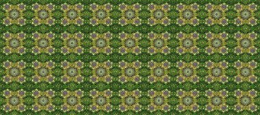 Tarafsız, yeşil ve gri renklerde, altın elementlerle klasik, pürüzsüz desen. Raster illüstrasyonu.