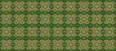 Tarafsız, yeşil ve gri renklerde, altın elementlerle klasik, pürüzsüz desen. Raster illüstrasyonu.