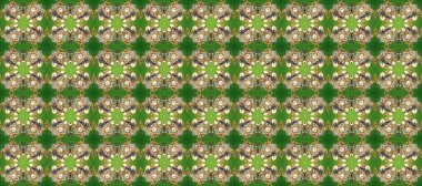 Raster Golden Mehndi kusursuz desen. Kına dövmeli süs çiçekleri, altın çıkartmalar, mehndi ve yoga tasarımı, kartlar ve parmak izleri. Yeşil, bej ve kahverengi renkte desen.