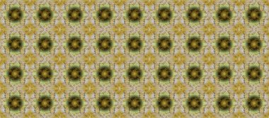 Gri, nötr ve kahverengi renklerde altın elementler. Geleneksel klasik raster altın pürüzsüz desen. Barok tarzında kusursuz bir doğulu süsü..