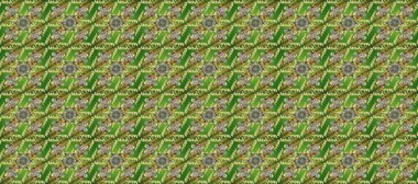 Dekoratif simetri arabesk. Yeşil, kahverengi ve nötr renklerde altın. Raster illüstrasyonu. Kusursuz ortaçağ çiçek deseni. Doğum günü, davetiye ya da afiş için tebrik kartı.