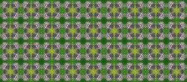 Altın elementli yeşil, gri ve nötr renkler. Kusursuz altın desenli bukleler. Raster illüstrasyonu. Doğu tarzı arabesk. Raster altın desen.