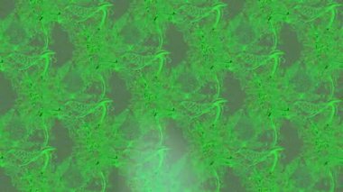 Renkli unsurlarla hareketli arka plan görüntüleri. Çiçekler. Eski model. Bayrak tarzı. Video kaydı. Şablon. Döngü. Kusursuz..