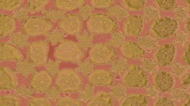 Renkli unsurlarla hareketli arka plan görüntüleri. Çiçekler. Eski model. Bayrak tarzı. Video kaydı. Şablon. Döngü. Kusursuz..