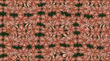 Renkli unsurlarla hareketli arka plan görüntüleri. Çiçekler. Eski model. Bayrak tarzı. Video kaydı. Şablon. Döngü. Kusursuz..