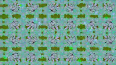 Renkli unsurlarla hareketli arka plan görüntüleri. Çiçekler. Eski model. Bayrak tarzı. Video kaydı. Şablon. Döngü. Kusursuz..