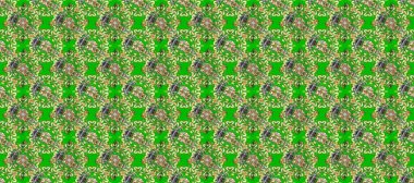 Yeşil ve bej renklerde, altın elementlerle klasik, pürüzsüz desen. Raster illüstrasyonu.