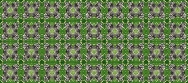 Altın desenli gri, yeşil ve nötr renklerde altın çiçekli elementler. Raster geometrik arka plan. Senin tasarımın için, duvar kağıdı. Altın rengi kusursuz illüstrasyon.