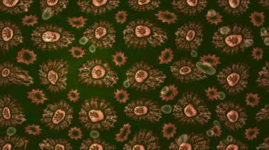 Renkli unsurlarla hareketli arka plan görüntüleri. Çiçekler. Eski model. Bayrak tarzı. Video kaydı. Şablon. Döngü. Kusursuz..