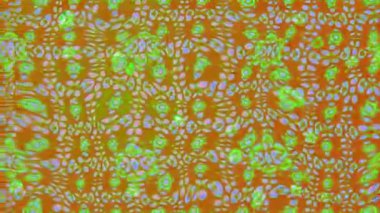 Renkli unsurlarla hareketli arka plan görüntüleri. Çiçekler. Eski model. Bayrak tarzı. Video kaydı. Şablon. Döngü. Kusursuz..