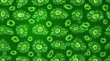 Renkli unsurlarla hareketli arka plan görüntüleri. Çiçekler. Eski model. Bayrak tarzı. Video kaydı. Şablon. Döngü. Kusursuz..