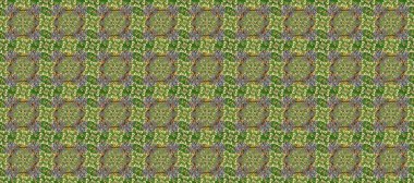 Kusursuz raster arka plan. Bej, gri ve yeşil renklerde grafiksel modern kusursuz desen. Duvar kâğıdı barok, İspanyol kumaşı. Kusursuz çiçek deseni.