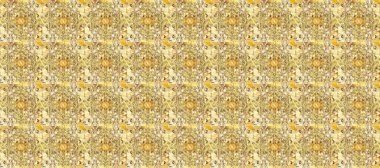 Geleneksel klasik altın desen. Barok tarzında kusursuz bir doğulu süsü. Raster oryantal süs. Altın desenli bej, sarı ve nötr renklerde altın elementler.