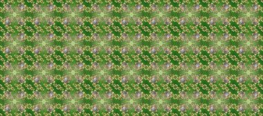 Yeşil, nötr ve bej renklerinde, altın elementli, pürüzsüz desenler. Şam tasarım için kusursuz desen.