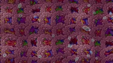 Renkli unsurlarla hareketli arka plan görüntüleri. Çiçekler. Eski model. Bayrak tarzı. Video kaydı. Şablon. Döngü. Kusursuz..