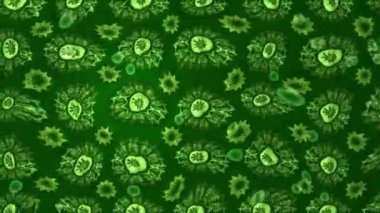 Renkli unsurlarla hareketli arka plan görüntüleri. Çiçekler. Eski model. Bayrak tarzı. Video kaydı. Şablon. Döngü. Kusursuz..