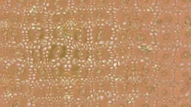 Renkli unsurlarla hareketli arka plan görüntüleri. Çiçekler. Eski model. Bayrak tarzı. Video kaydı. Şablon. Döngü. Kusursuz..