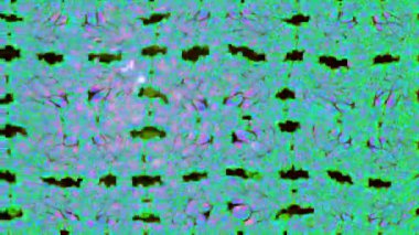 Renkli unsurlarla hareketli arka plan görüntüleri. Çiçekler. Eski model. Bayrak tarzı. Video kaydı. Şablon. Döngü. Kusursuz..