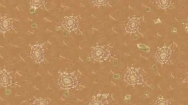 Renkli unsurlarla hareketli arka plan görüntüleri. Çiçekler. Eski model. Bayrak tarzı. Video kaydı. Şablon. Döngü. Kusursuz..