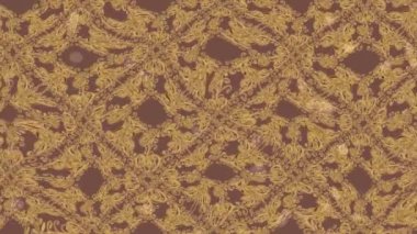 Renkli unsurlarla hareketli arka plan görüntüleri. Çiçekler. Eski model. Bayrak tarzı. Video kaydı. Şablon. Döngü. Kusursuz..