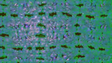 Renkli unsurlarla hareketli arka plan görüntüleri. Çiçekler. Eski model. Bayrak tarzı. Video kaydı. Şablon. Döngü. Kusursuz..