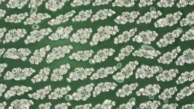 Renkli unsurlarla hareketli arka plan görüntüleri. Çiçekler. Eski model. Bayrak tarzı. Video kaydı. Şablon. Döngü. Kusursuz..