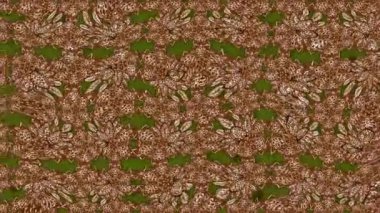 Projeniz için süper ilginç bir film kompozisyonu