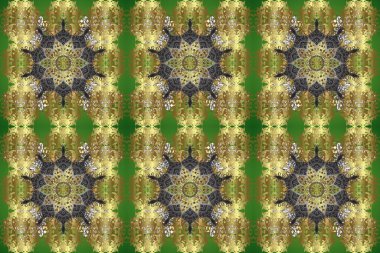 Barok tarzında kusursuz bir doğulu süsü. Geleneksel klasik raster altın pürüzsüz desen. Tarafsız, yeşil ve kahverengi renklerde altın elementler.