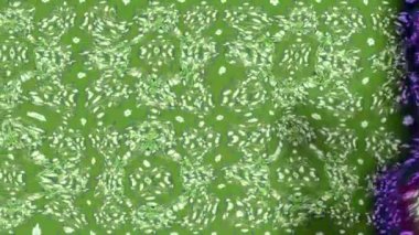 Renkli unsurlarla hareketli arka plan görüntüleri. Çiçekler. Eski model. Bayrak tarzı. Altın, altın. Video kaydı. Şablon.