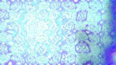 Renkli unsurlarla hareketli arka plan görüntüleri. Çiçekler. Eski model. Bayrak tarzı. Altın, altın. Video kaydı. Şablon.