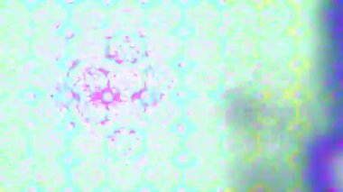 Renkli unsurlarla hareketli arka plan görüntüleri. Çiçekler. Eski model. Bayrak tarzı. Altın, altın. Video kaydı. Şablon.