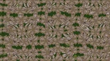 Renkli unsurlarla hareketli arka plan görüntüleri. Çiçekler. Eski model. Bayrak tarzı. Video kaydı. Şablon. Döngü. Kusursuz..