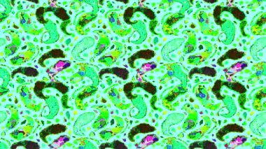 Renkli unsurlarla hareketli arka plan görüntüleri. Çiçekler. Eski model. Bayrak tarzı. Video kaydı. Şablon. Döngü. Kusursuz..