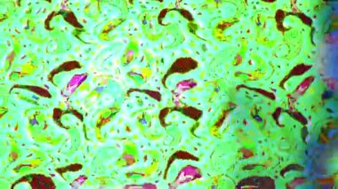 Renkli unsurlarla hareketli arka plan görüntüleri. Çiçekler. Eski model. Bayrak tarzı. Video kaydı. Şablon. Döngü. Kusursuz..