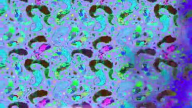 Renkli unsurlarla hareketli arka plan görüntüleri. Çiçekler. Eski model. Bayrak tarzı. Video kaydı. Şablon. Döngü. Kusursuz..