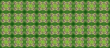 Süslü dekorasyon. Yeşil, bej ve gri renklerdeki altın desenli altın elementler. Lüks, kraliyet ve Viktorya dönemi konsepti. Raster klasik barok çiçeksiz altın desenli..