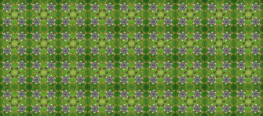 Kusursuz altın desen. Altın desenli yeşil, gri ve kahverengi renklerde altın elementler. Raster doğulu süsü.