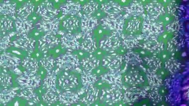 Renkli unsurlarla hareketli arka plan görüntüleri. Çiçekler. Eski model. Bayrak tarzı. Video kaydı. Şablon. Döngü. Kusursuz..