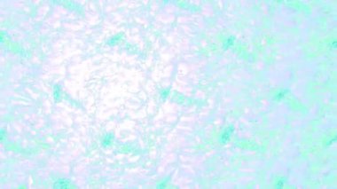 Renkli unsurlarla hareketli arka plan görüntüleri. Çiçekler. Eski model. Bayrak tarzı. Video kaydı. Şablon. Döngü. Kusursuz..