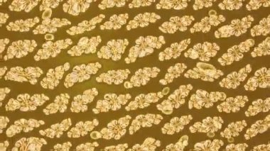 Renkli unsurlarla hareketli arka plan görüntüleri. Çiçekler. Eski model. Bayrak tarzı. Video kaydı. Şablon. Döngü. Kusursuz..