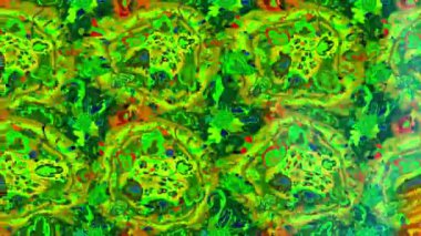 Renkli unsurlarla hareketli arka plan görüntüleri. Çiçekler. Eski model. Bayrak tarzı. Video kaydı. Şablon. Döngü. Kusursuz..