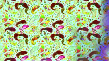 Renkli unsurlarla hareketli arka plan görüntüleri. Çiçekler. Eski model. Bayrak tarzı. Video kaydı. Şablon. Döngü. Kusursuz..