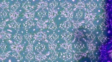 Renkli unsurlarla hareketli arka plan görüntüleri. Çiçekler. Eski model. Bayrak tarzı. Video kaydı. Şablon. Döngü. Kusursuz..