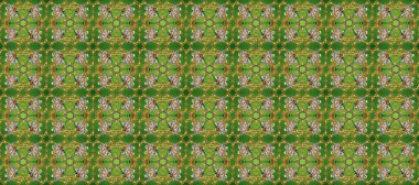 Yeşil, kahverengi ve bej üzerine altın rengi klasik barok çiçeksiz desenler. Süslü raster dekorasyonu. Lüks, kraliyet ve Viktorya dönemi konsepti. Yeşil, kahverengi ve bej renklerde altın element.