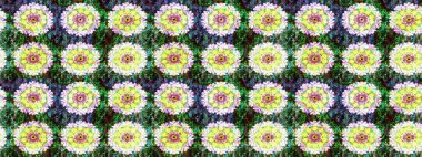 Raster Güzel kumaş deseni. Çiçek arkaplan ile soyut zarafet çizim deseni.