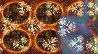 Kızılderili desenli desenli desenli şal deseni. Etnik Mandala süsü. Raster Henna dövme stili. Tekstil, tebrik kartı, boyama kitabı, telefon kılıfı baskısı için kullanılabilir.