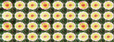 Klasik çiçek tasarımı elementleri. Raster illüstrasyonu. Yeşil kıvırcık çiçekler yeşil renkte şekillenir.