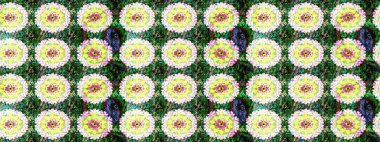 Renkli çizim kalıbı. Yeşil renkli şirin tekstil. Çiçek duvar kâğıdı. Raster illüstrasyonu. Çiçek arka planı.