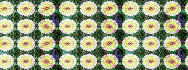 Renkli çizim kalıbı. Yeşil renkli şirin tekstil. Çiçek duvar kâğıdı. Raster illüstrasyonu. Çiçek arka planı.