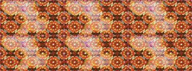 Raster geleneksel klasiği turuncu renkte. Barok tarzında kusursuz bir doğulu süsü..